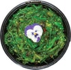 85. Tangsalat